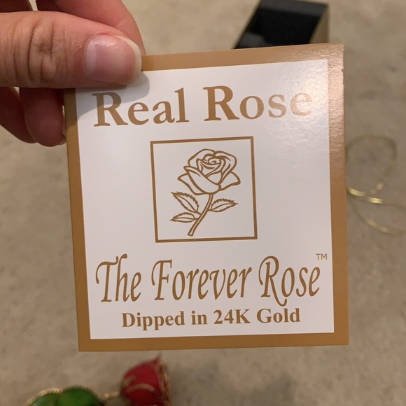 Forever Rose - Picture 6 of 9